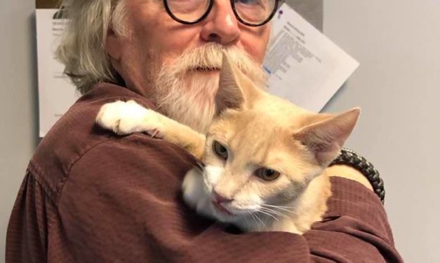 Adopt-A-Pet: Birch from the Goathouse Refuge